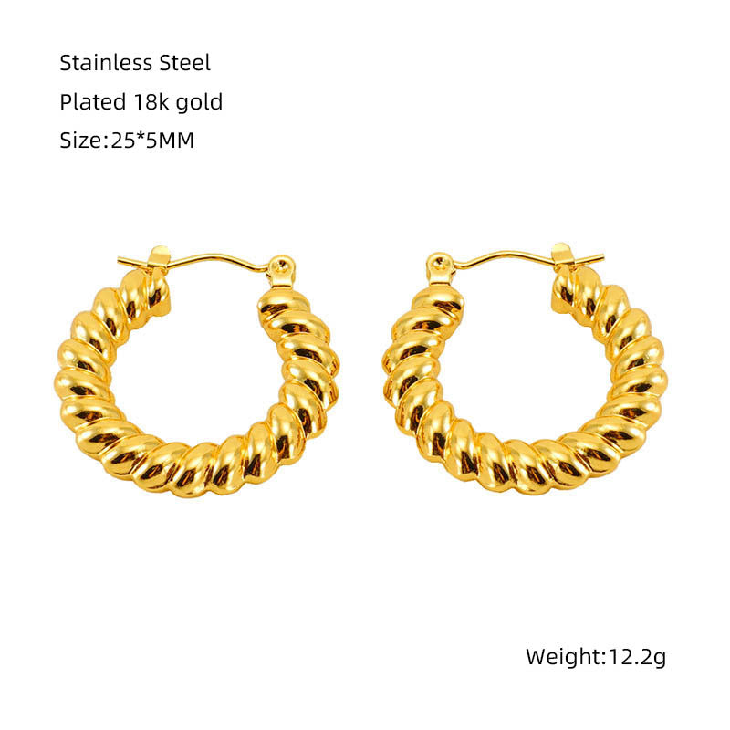 Stainless Steel Twisted Twist Niche Design Earrings