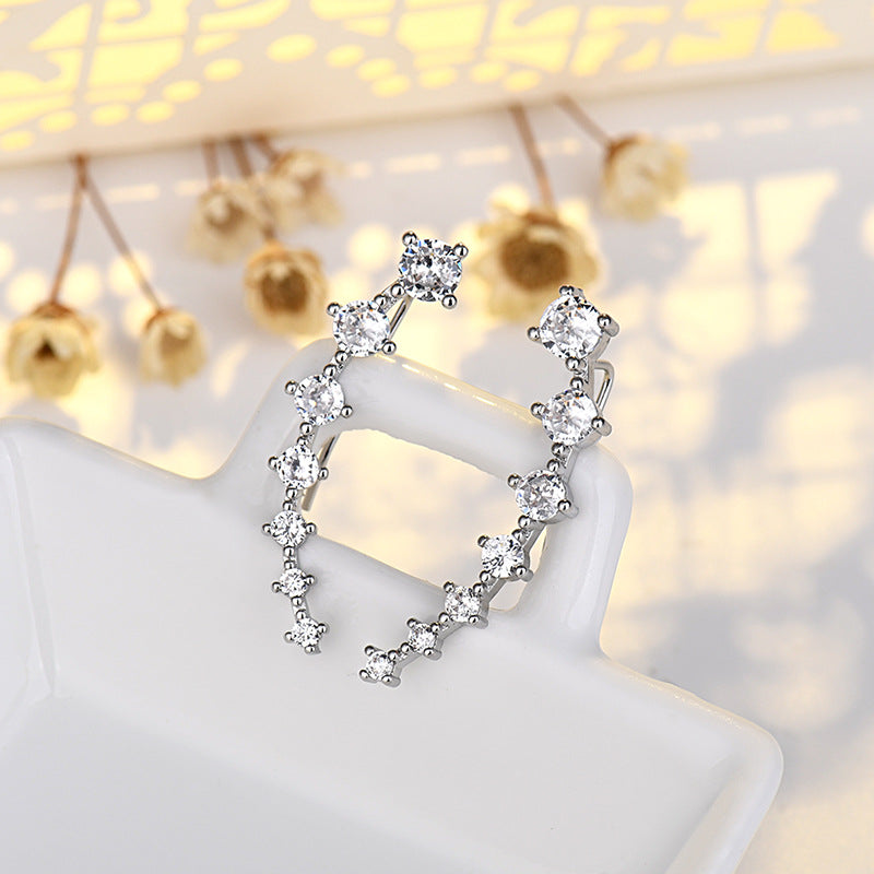 Women's Style For Sterling Sier Simple Temperamental Personalized Stud Earrings