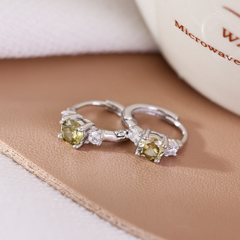 Women's Light Luxury Minority High-grade Style Simple Earrings