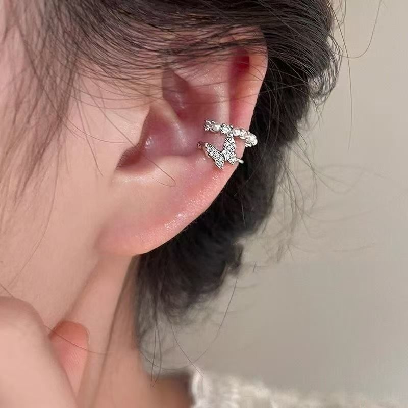 Women's Zircon Tassel Light Luxury High Sense Stud Earrings
