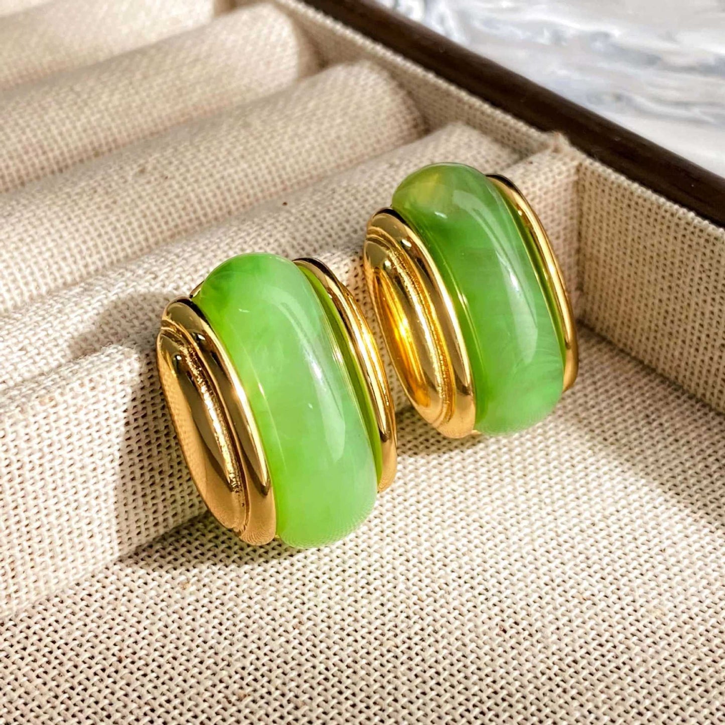 Luxury Resin Oval Optional Stainless Steel Earrings