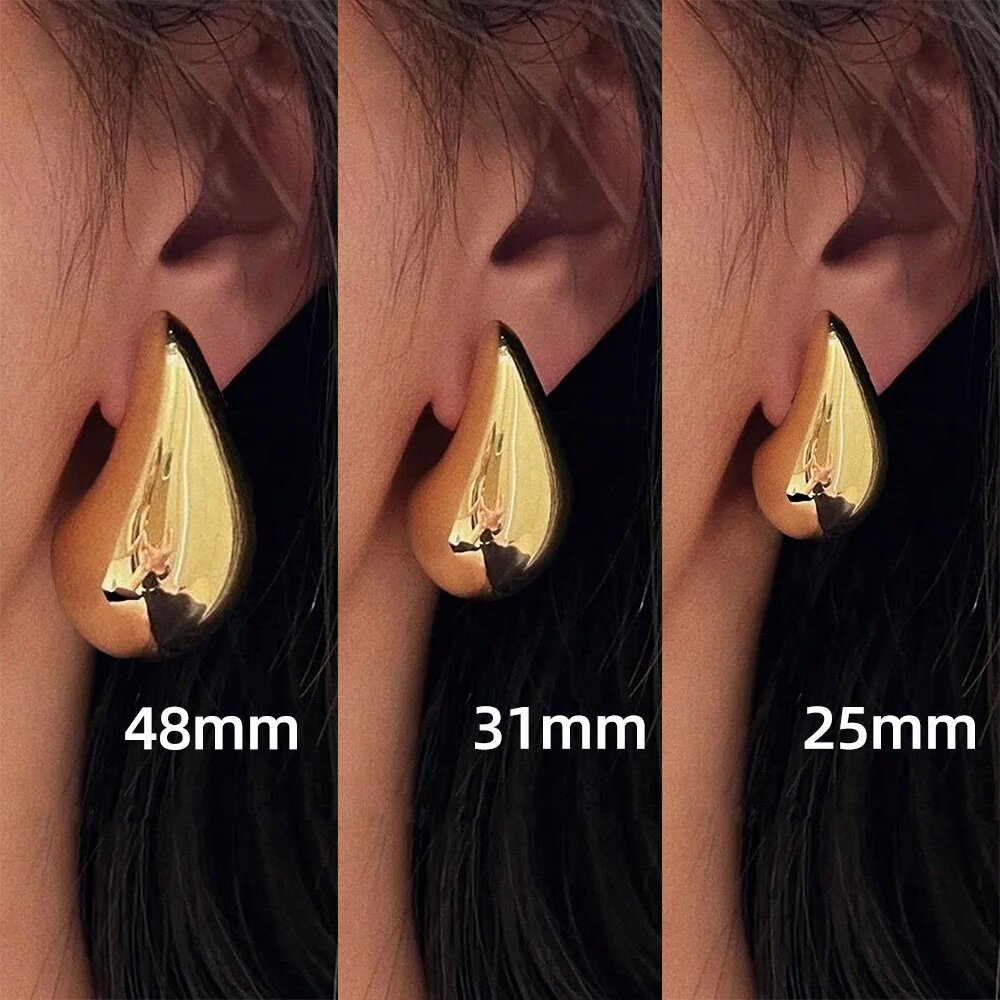 Gold Sier Stainless Steel Dropper Ear Cold Money Affordable Luxury Earrings