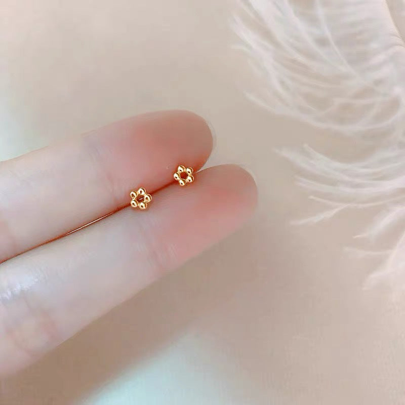 Sier For Female Fashionable Simple Small Earrings