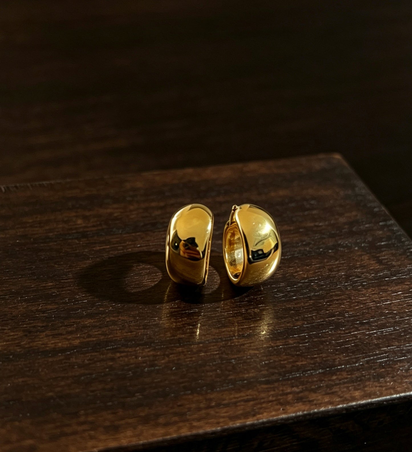Female Light Luxury Minority Sensitive Circle Earrings