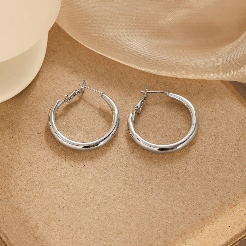 Women's Needle High-grade Super Flash Zircon Light Luxury Refined Grace Earrings