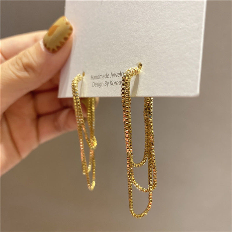Women's Tassel Graceful Long Delicate Trendy Light Earrings