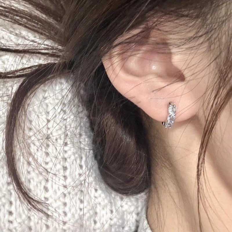 Women's Zircon Tassel Light Luxury High Sense Stud Earrings
