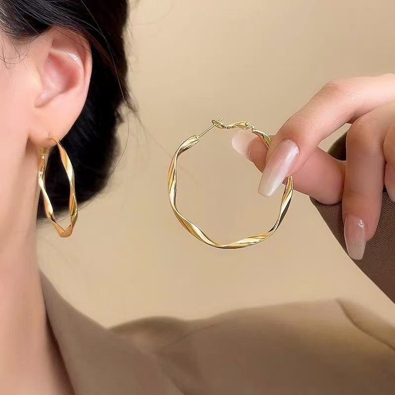 Women's Exaggerated Geometry Metal Circle Tassel Light Luxury High-grade Elegant Ear Earrings