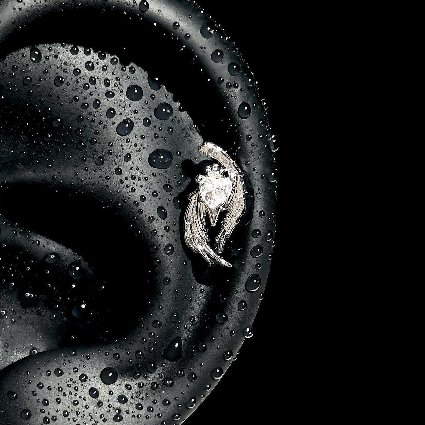Wings Flash Zircon Ear Bone Medical Titanium Steel Female High Stud Earrings