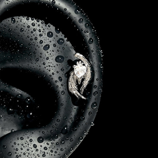 Wings Flash Zircon Ear Bone Medical Titanium Steel Female High Stud Earrings