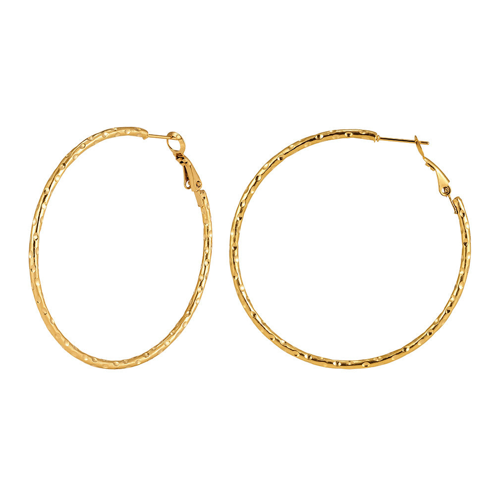 Women's Stainless Steel Diamond Tassel Simple Niche Everyday Joker Twin Collection Earrings