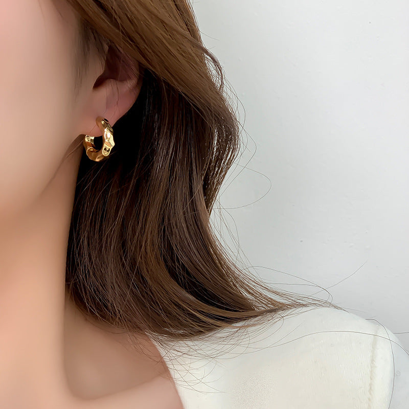 Design Metal Texture Small Ear High-grade Earrings