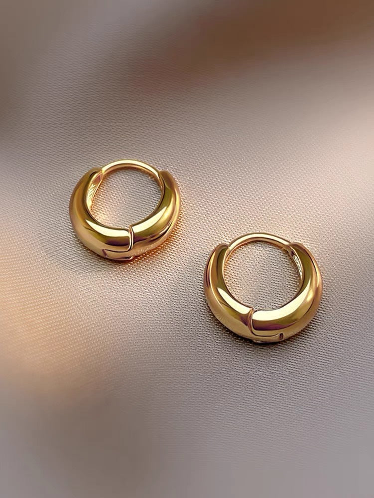 Metal Circle Tide Niche Design Advanced Earrings