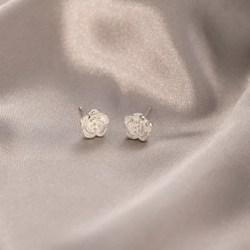 Women's Zircon Tassel Light Luxury High Sense Stud Earrings