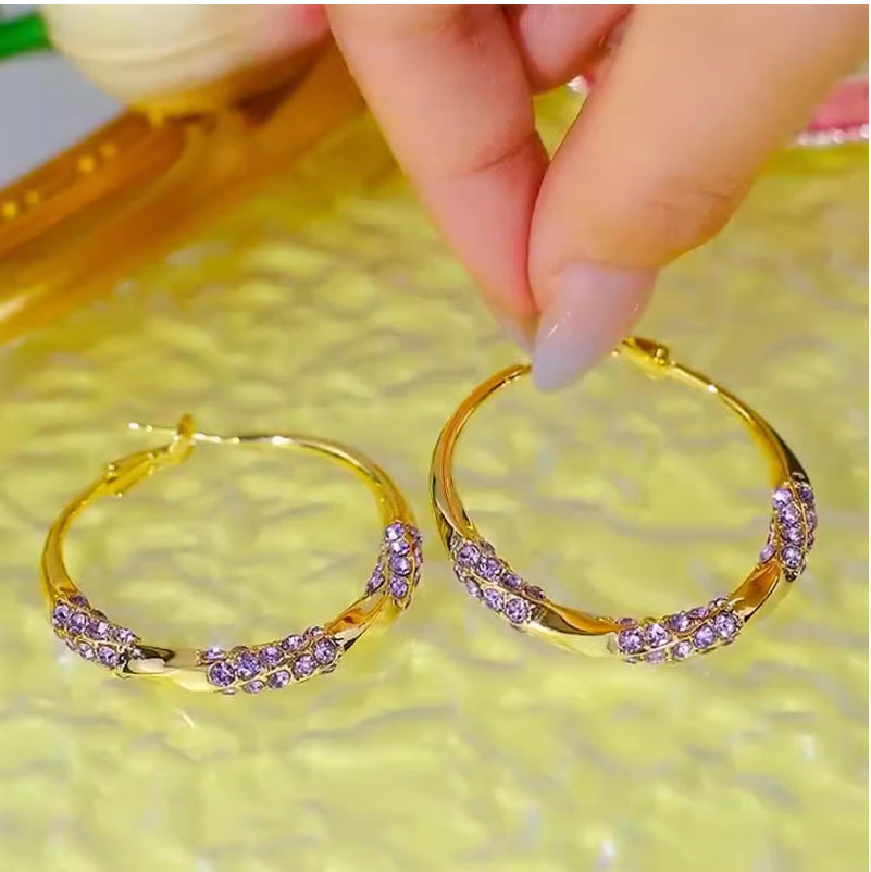 Fashion Big Hoop Female High Sense Light Luxury Minority Design Earrings