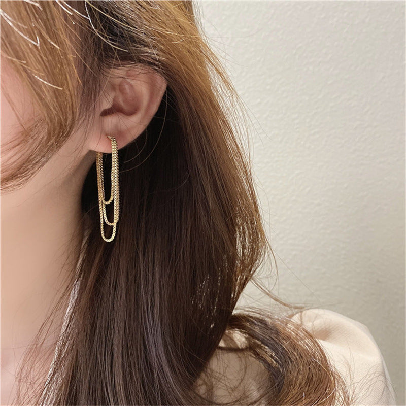 Women's Tassel Graceful Long Delicate Trendy Light Earrings