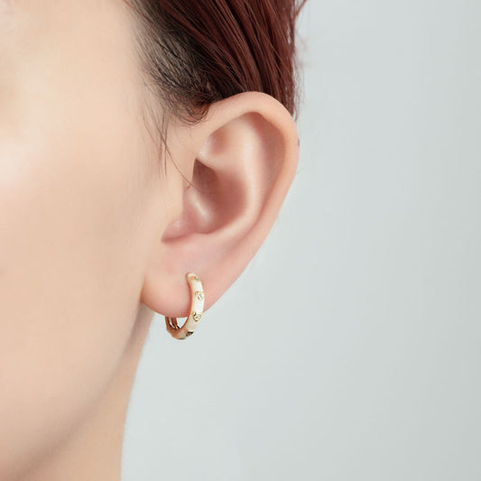 Women's Interest Light Luxury Micro Inlaid Zircon Earrings