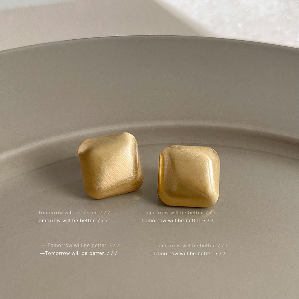 Matte Texture Geometric Female Niche Fashion Earrings
