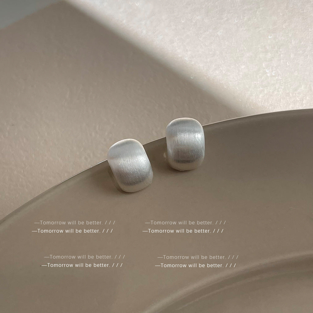 Matte Texture Geometric Female Niche Fashion Earrings
