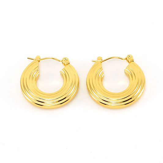 Women's Simple Round Glossy Stainless Steel For Gold Earrings