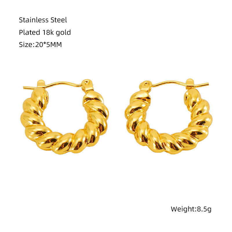 Stainless Steel Twisted Twist Niche Design Earrings