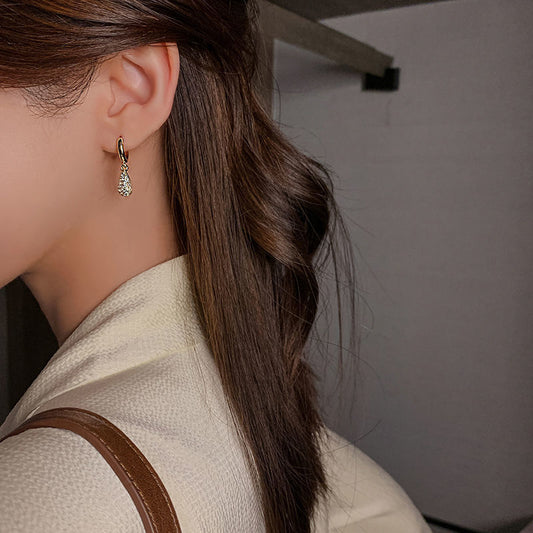 Women's High-grade Fashion Zircon Water Drop Small Elegant Earrings