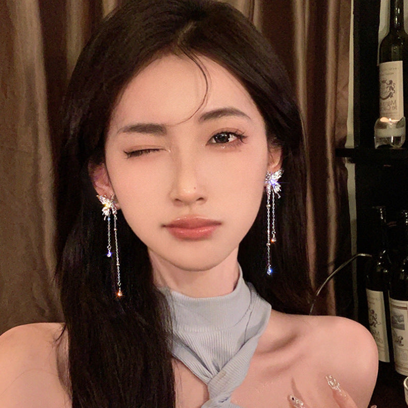 Long Fringe Female Light Luxury Minority Earrings