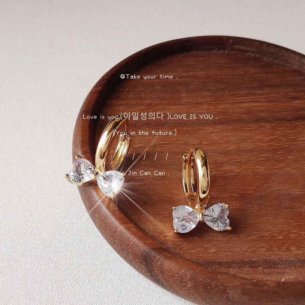 Fashionable Double Layer Hollow Zircon Circle Ear Buckle