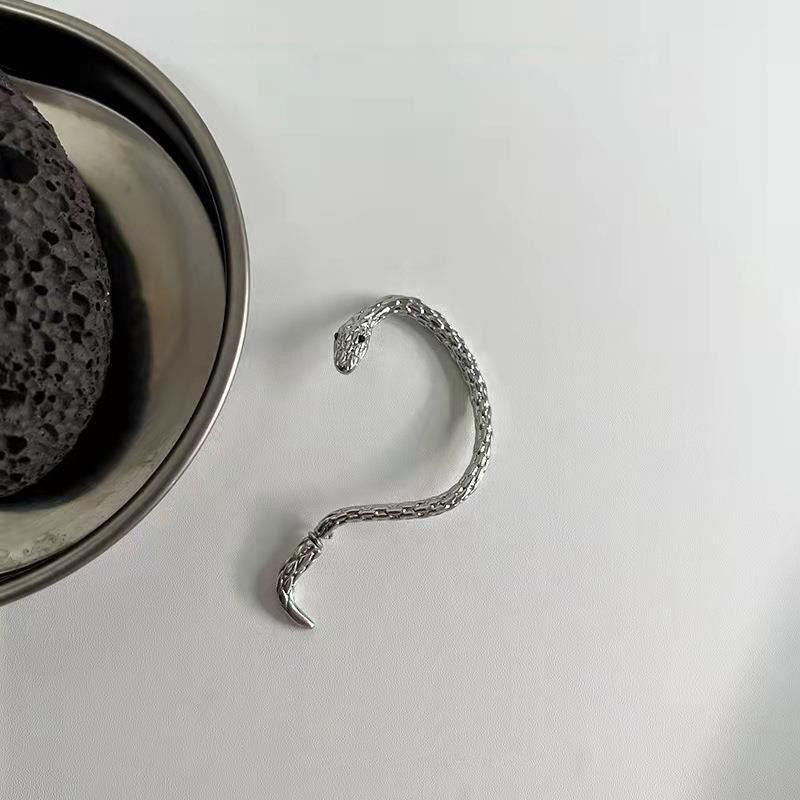 Winding Snake High Profile Retro Punk Stud Earrings