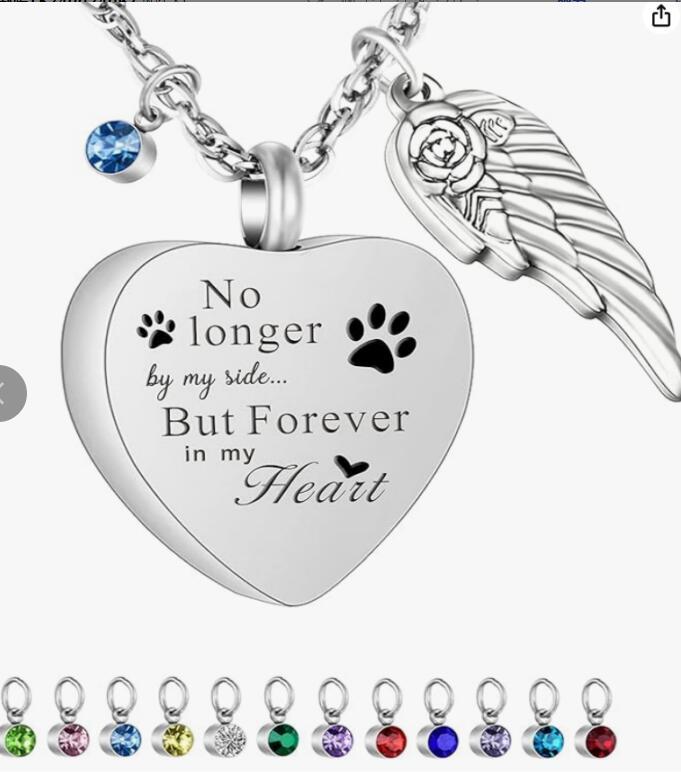 Relatives Pet Put Ashes Hair Perfume Stainless Steel Pendants