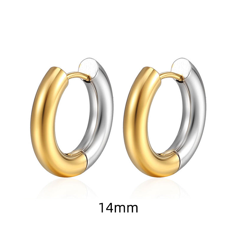 Luxury Minority High-grade Electroplating Temperament Gradient Earrings