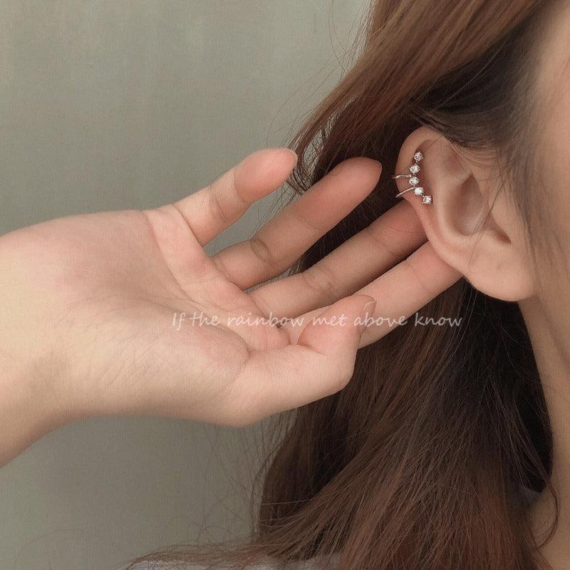 Clip Without Pierced Female Frosty Style Unique Auricular Needle Stud Earrings