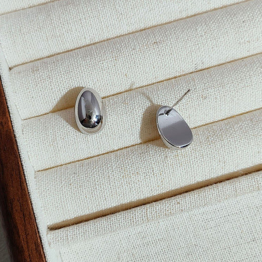 Women's Style Classic Sier Needle Exquisite Niche Earrings