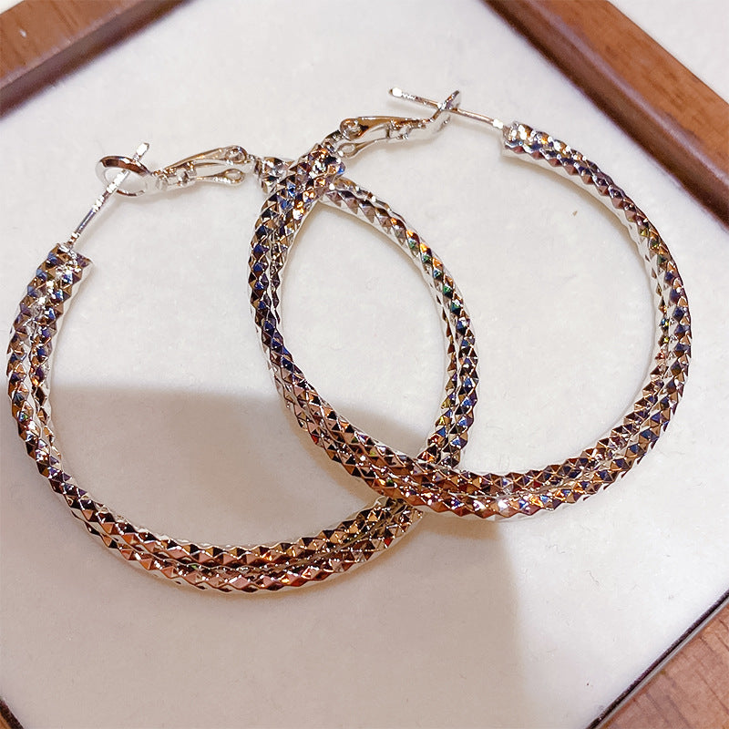 Cut Small Pieces Of Double Layer Hoop High Sense Niche Earrings