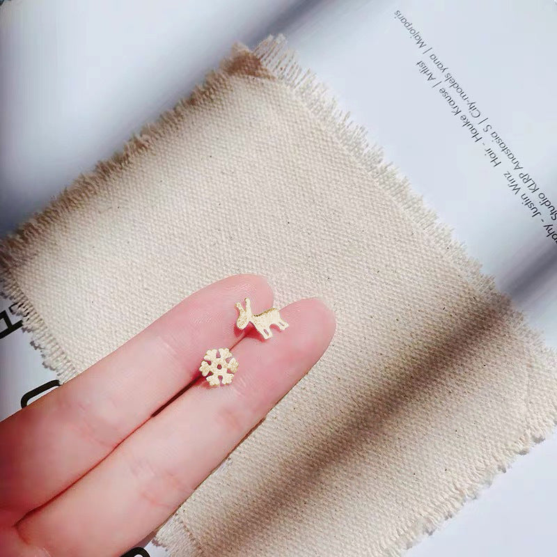 Sier For Female Fashionable Simple Small Earrings