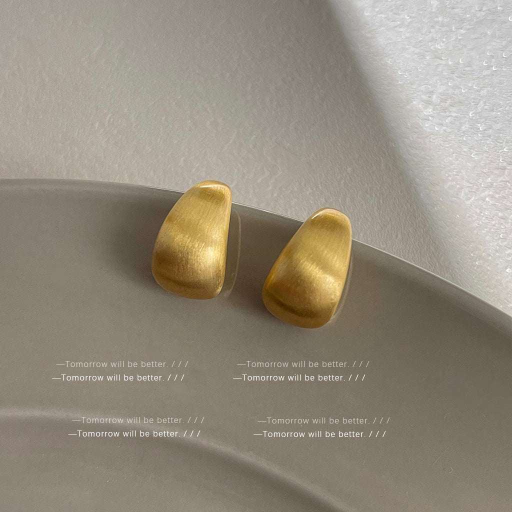 Matte Texture Geometric Female Niche Fashion Earrings