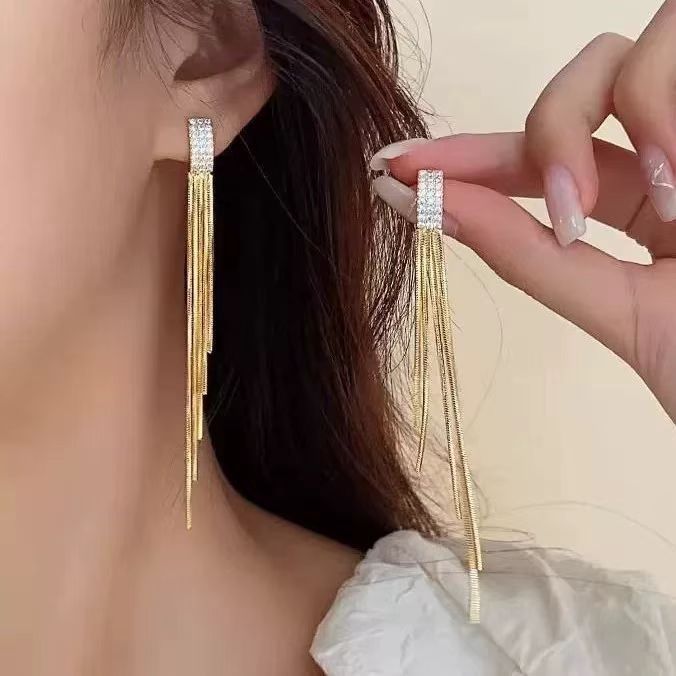 Luxury Female Long Fringe Personalized Minority Retro Earrings