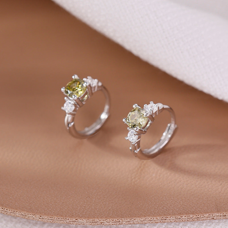 Women's Light Luxury Minority High-grade Style Simple Earrings