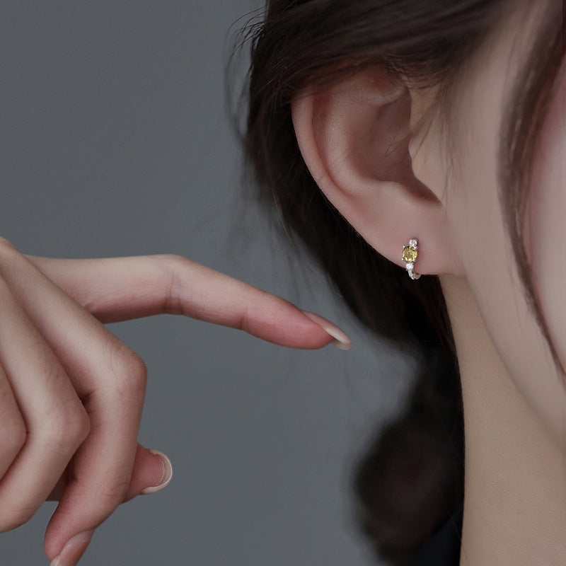 Women's Light Luxury Minority High-grade Style Simple Earrings