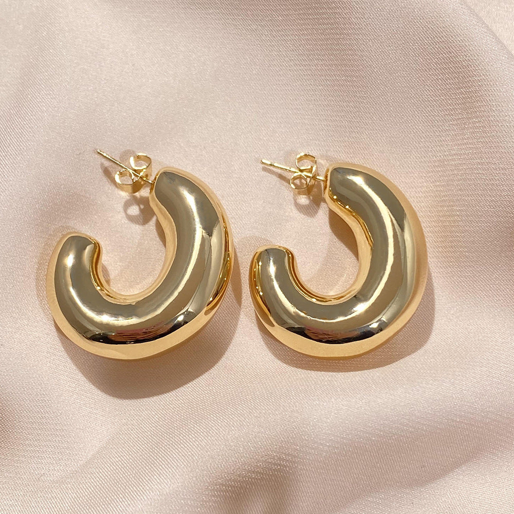 Scenery Surface Female Fashion Exaggerated Thick Earrings