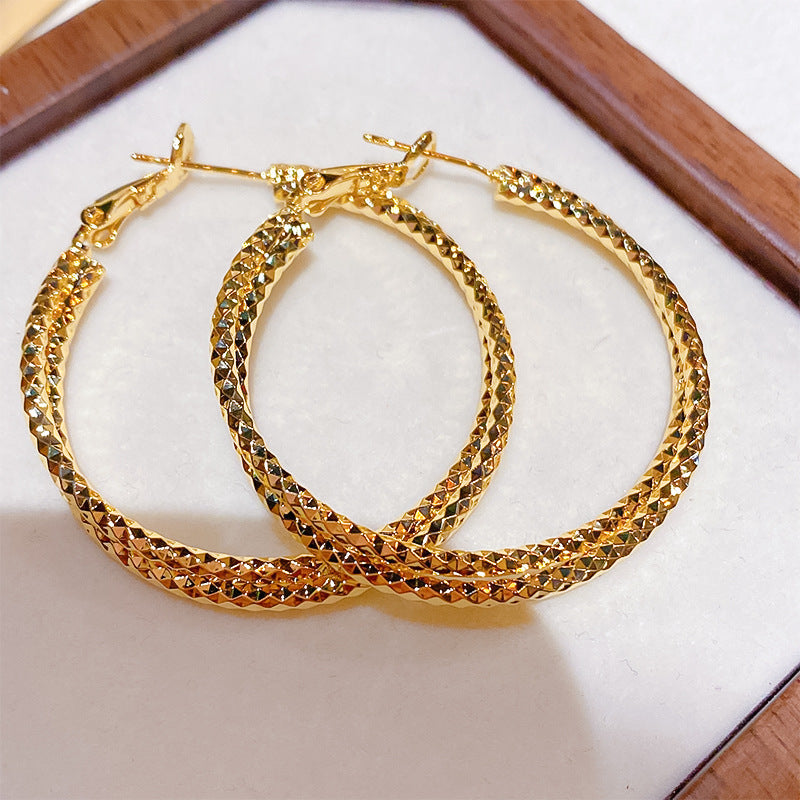 Cut Small Pieces Of Double Layer Hoop High Sense Niche Earrings