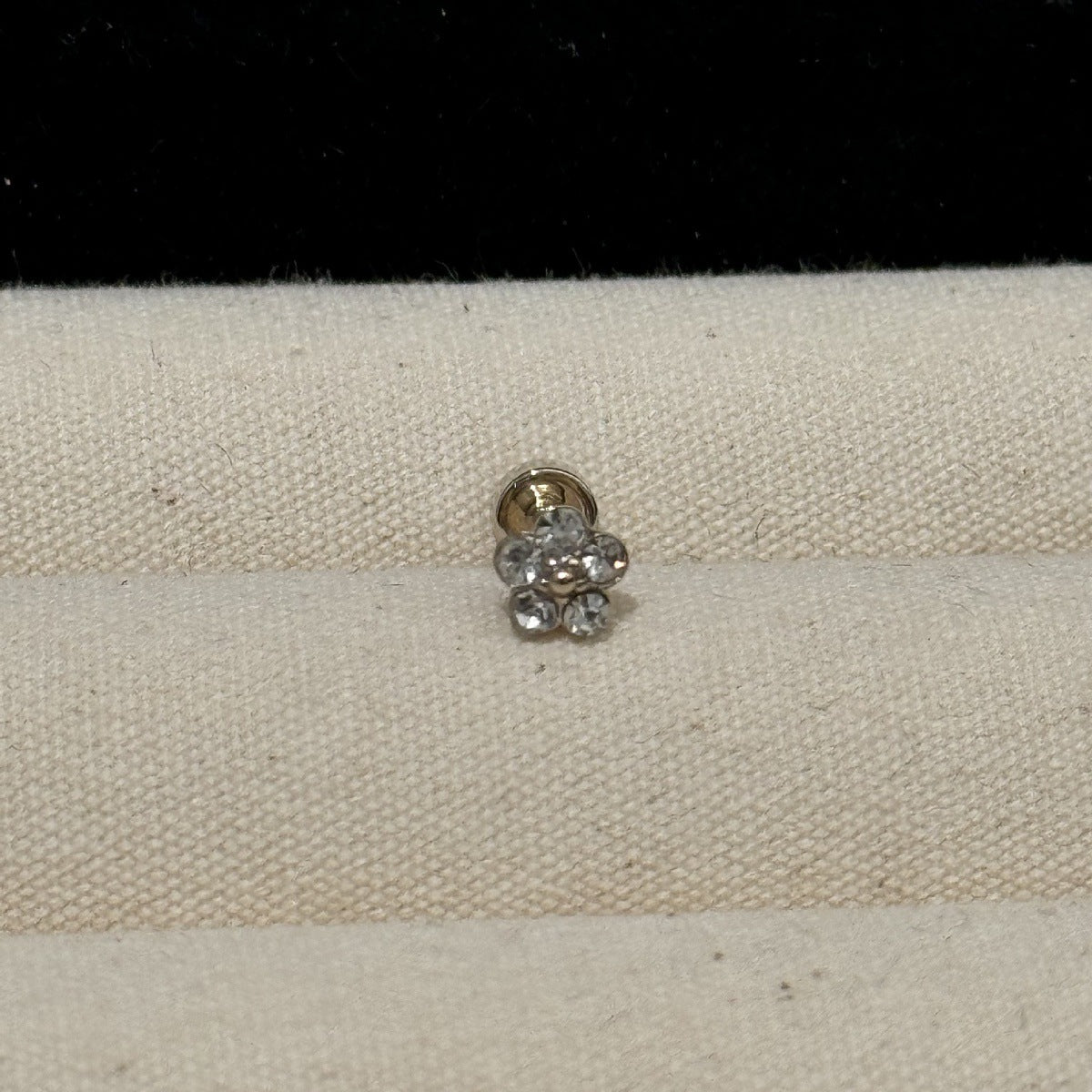 Women's Light Coffee Gold Collection Series Minimalist Zircon Ear Earrings