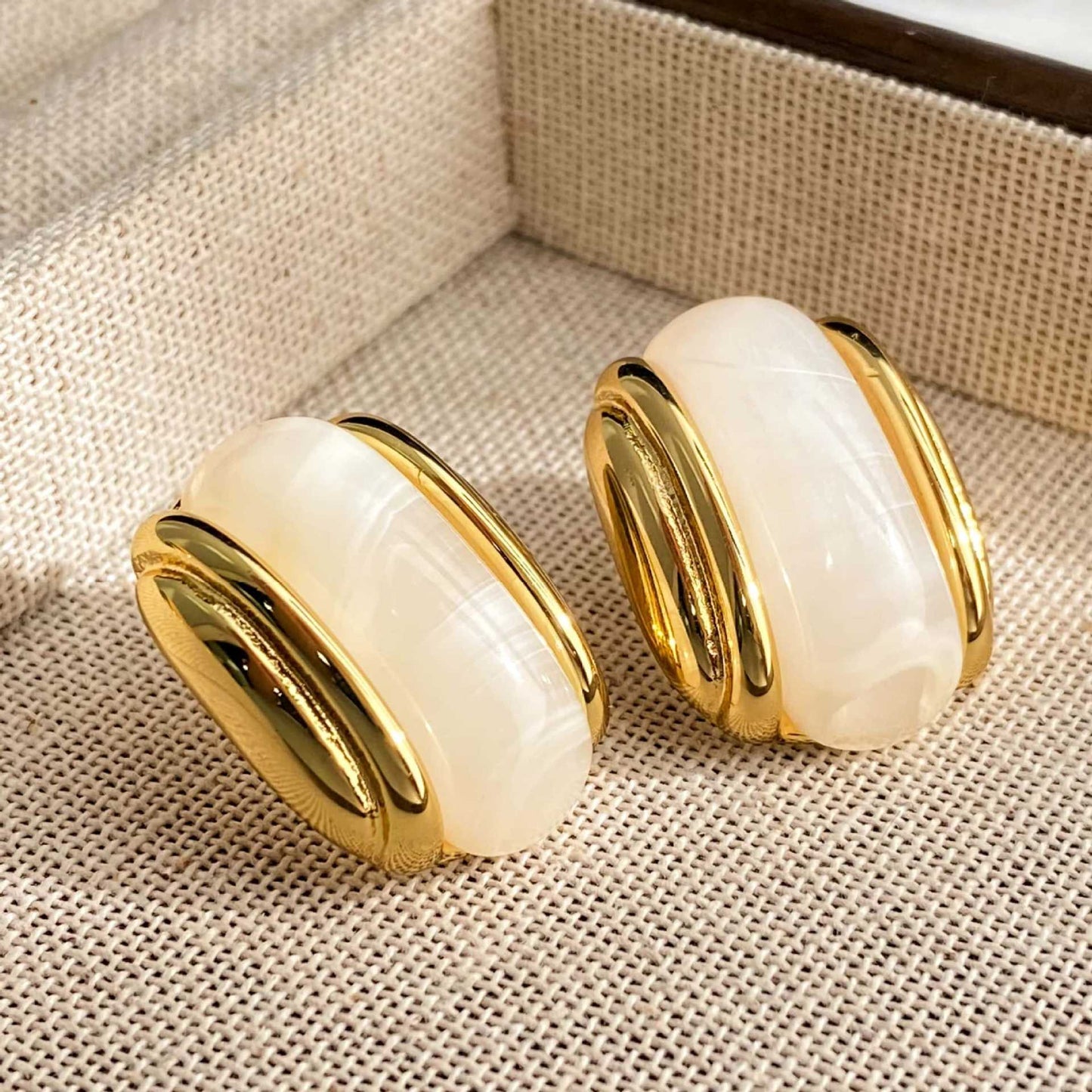 Luxury Resin Oval Optional Stainless Steel Earrings