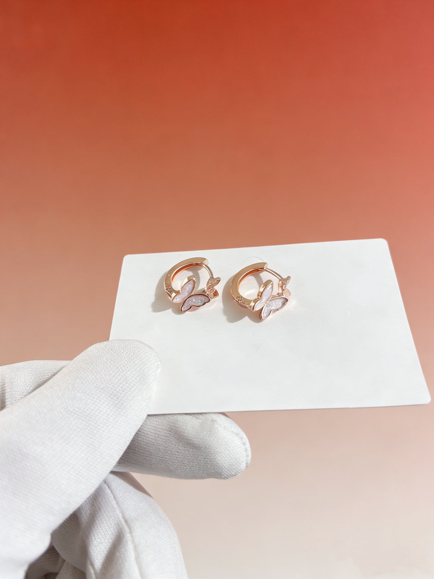 Female Light Luxury Minority Sensitive Circle Earrings