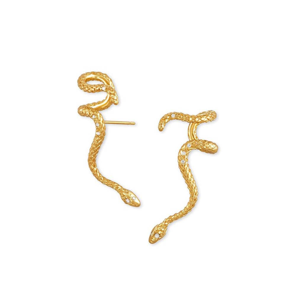 Popular Ornament Personality Snake Metal Exaggerated Earrings