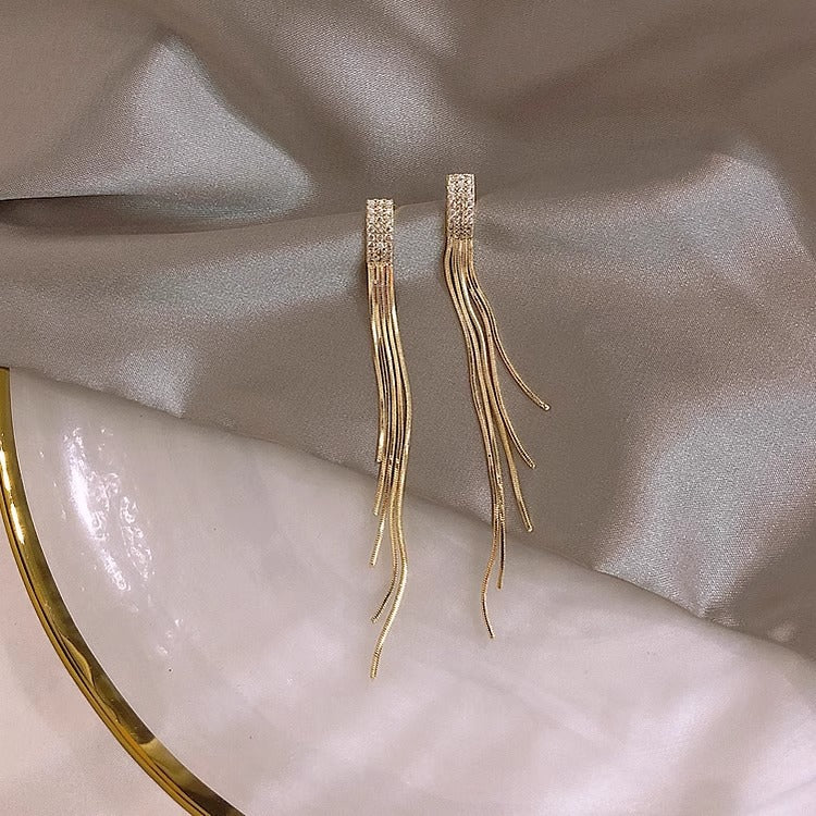 Entry Lux Zircon Long Tassel Female High Sense Sier Stud Earrings