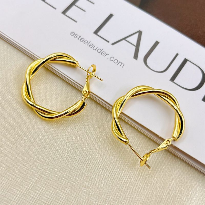 Design Metal Texture Small Ear High-grade Earrings