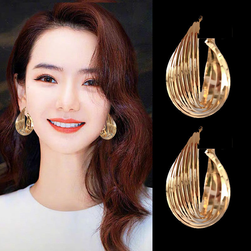 Design Sense Female Geometric Ear Fashion Earrings