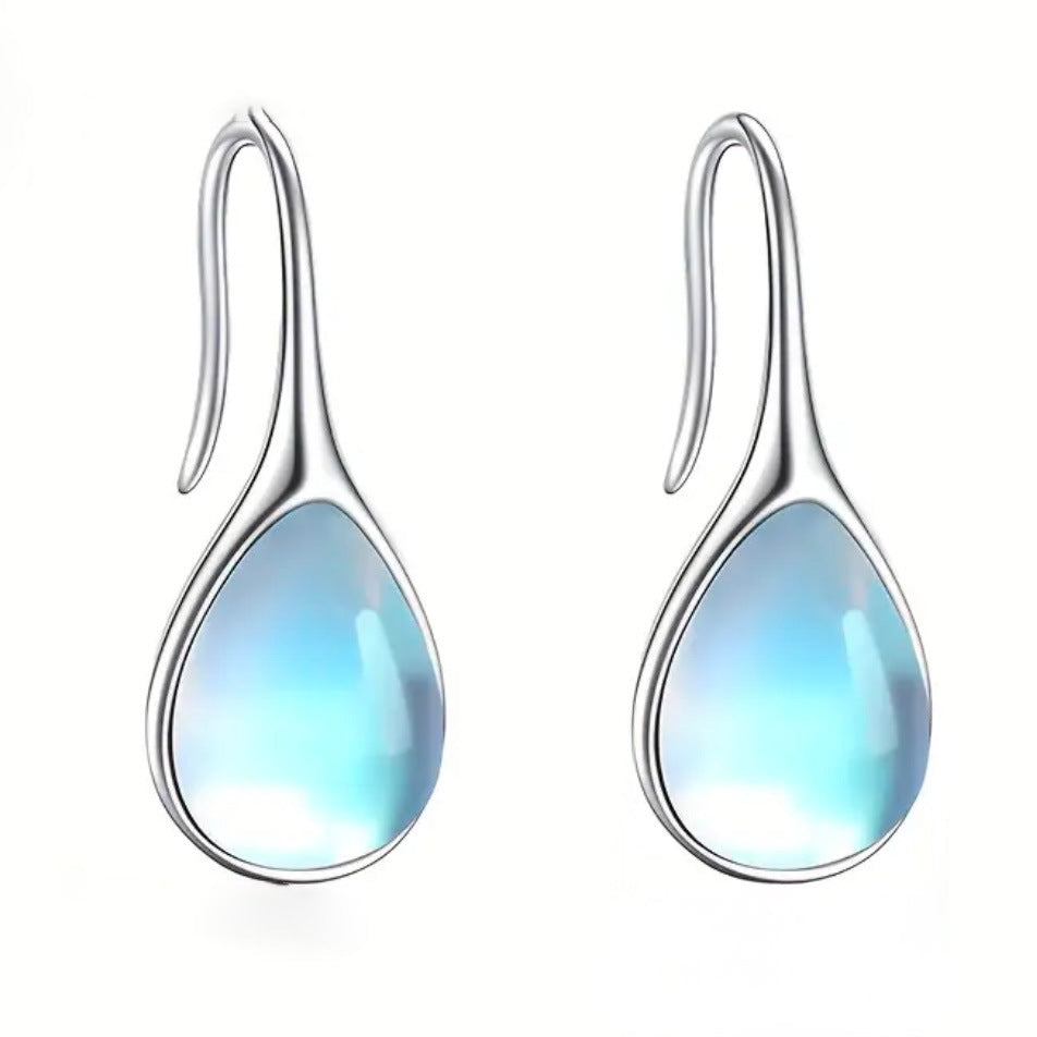 Hook Special Interest Temperament Wild Personality Stud Earrings
