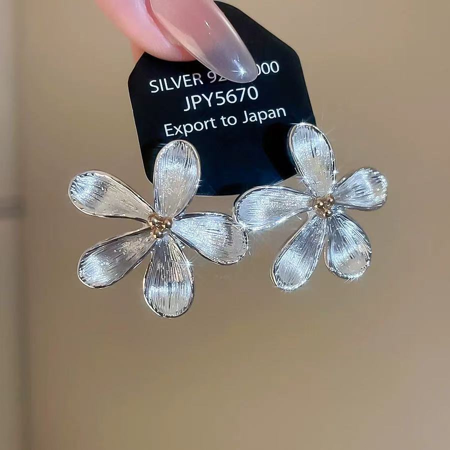 Women's Ear Korean Style Sier Super Nice Rings